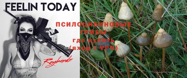 хмурый Абинск